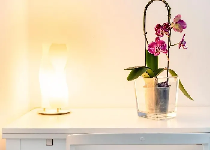 Oriani - Toticchio House - Bologna